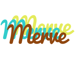 Merve cupcake logo