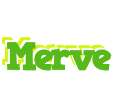 Merve picnic logo