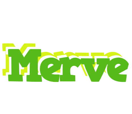 Merve picnic logo