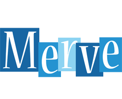 Merve winter logo