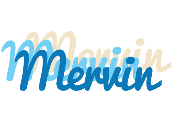 Mervin breeze logo