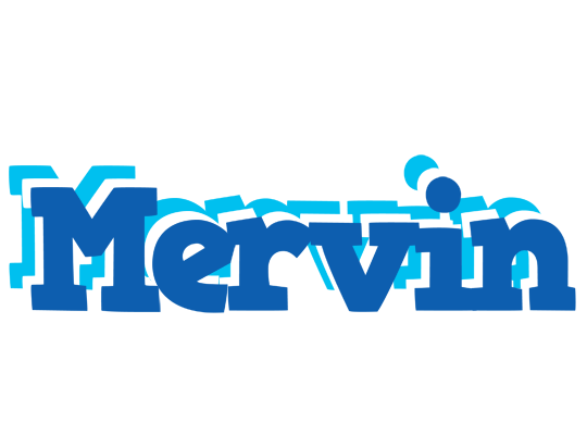 Mervin business logo