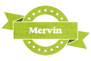Mervin change logo