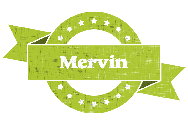 Mervin change logo