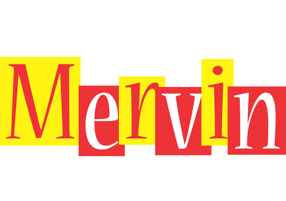Mervin errors logo