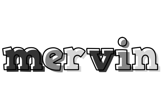 Mervin night logo