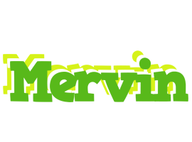 Mervin picnic logo