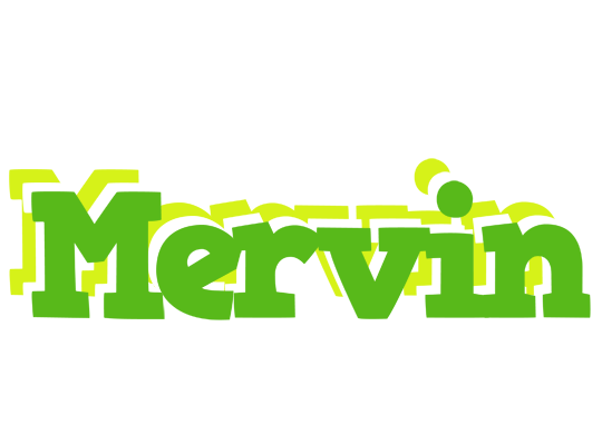 Mervin picnic logo