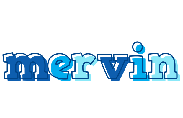 Mervin sailor logo