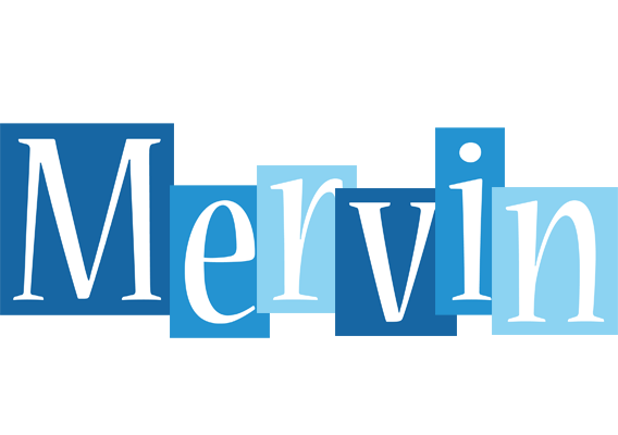 Mervin winter logo