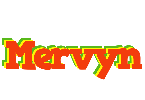 Mervyn bbq logo