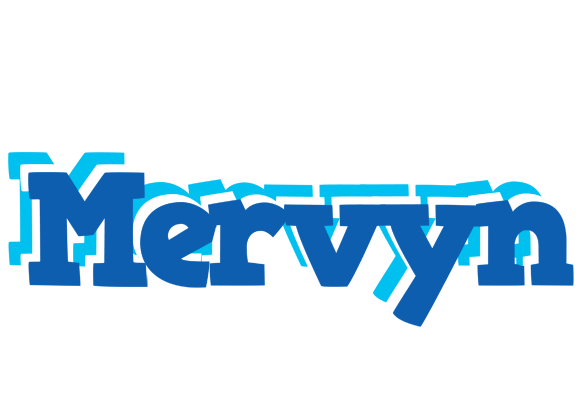 Mervyn business logo
