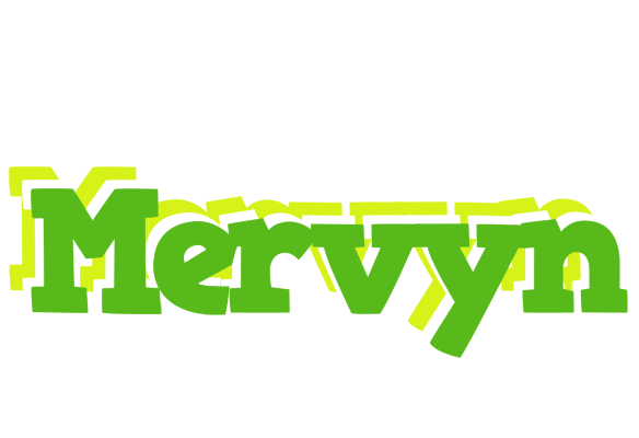 Mervyn picnic logo