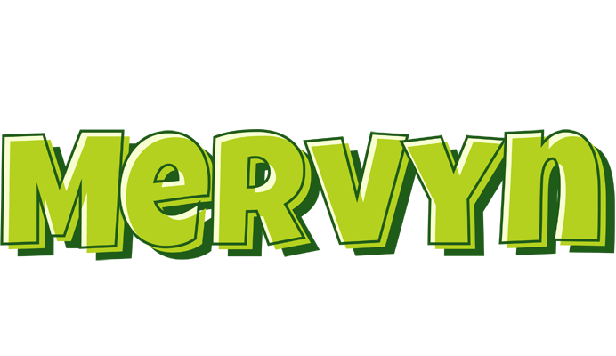 Mervyn summer logo