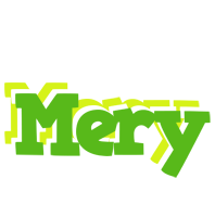 Mery picnic logo