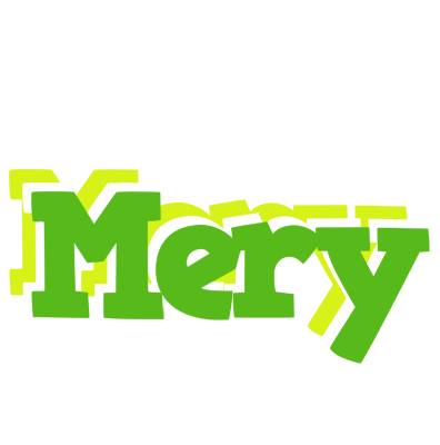 Mery picnic logo