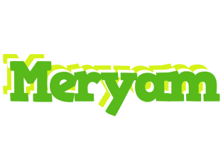 Meryam picnic logo