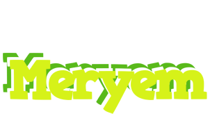 Meryem citrus logo