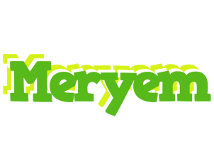 Meryem picnic logo