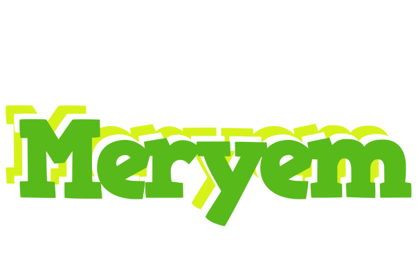 Meryem picnic logo