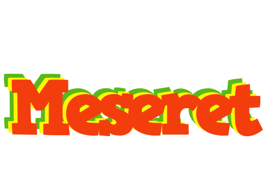 Meseret bbq logo