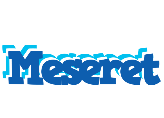 Meseret business logo
