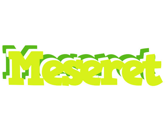 Meseret citrus logo