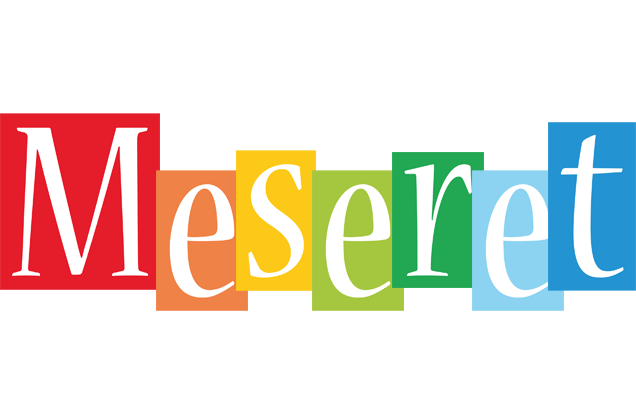 Meseret colors logo