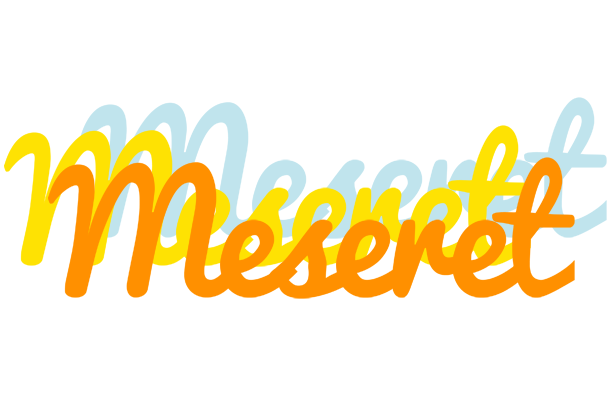 Meseret energy logo