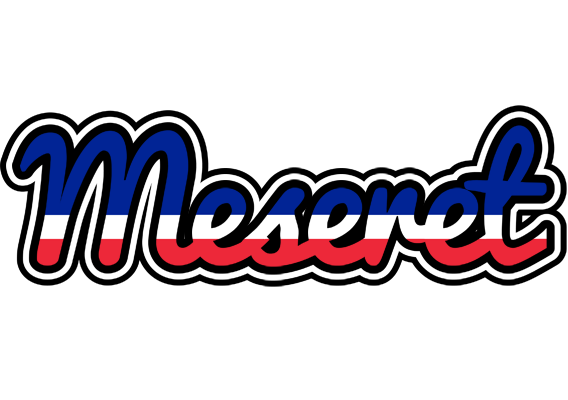 Meseret france logo