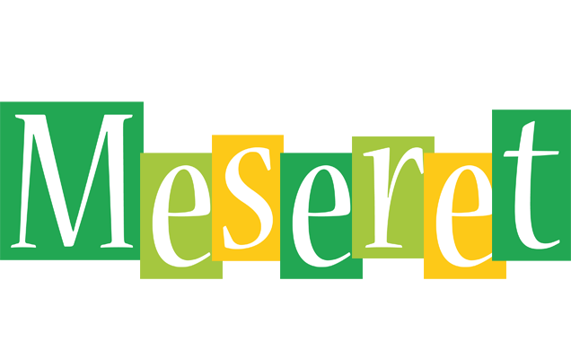 Meseret lemonade logo