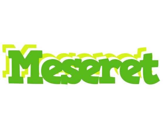 Meseret picnic logo
