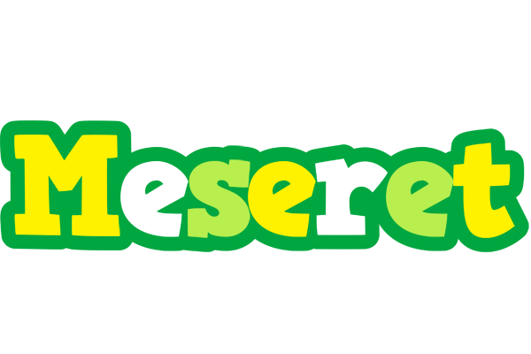 Meseret soccer logo