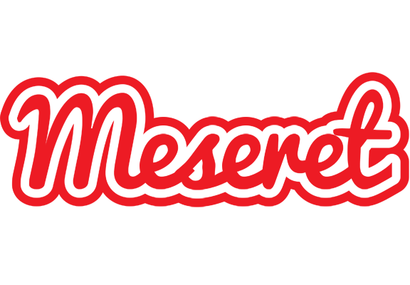 Meseret sunshine logo