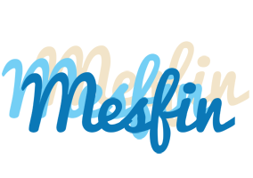 Mesfin breeze logo