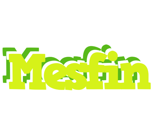 Mesfin citrus logo