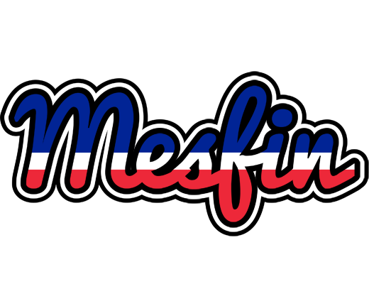 Mesfin france logo