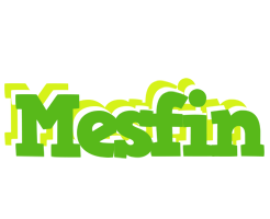 Mesfin picnic logo