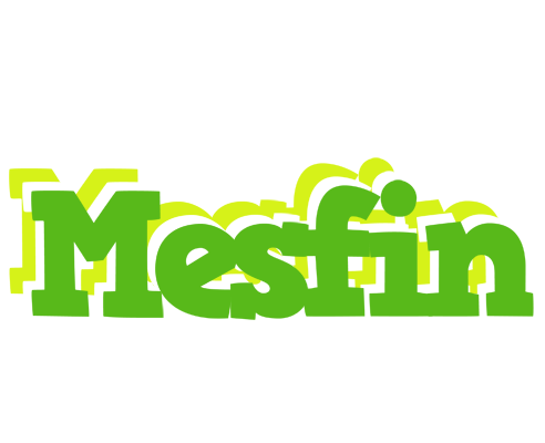 Mesfin picnic logo