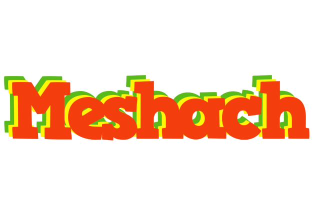 Meshach bbq logo