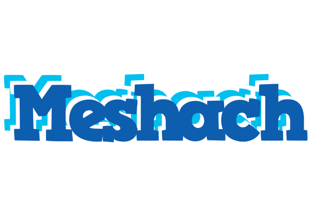 Meshach business logo