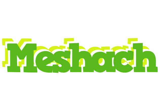 Meshach picnic logo