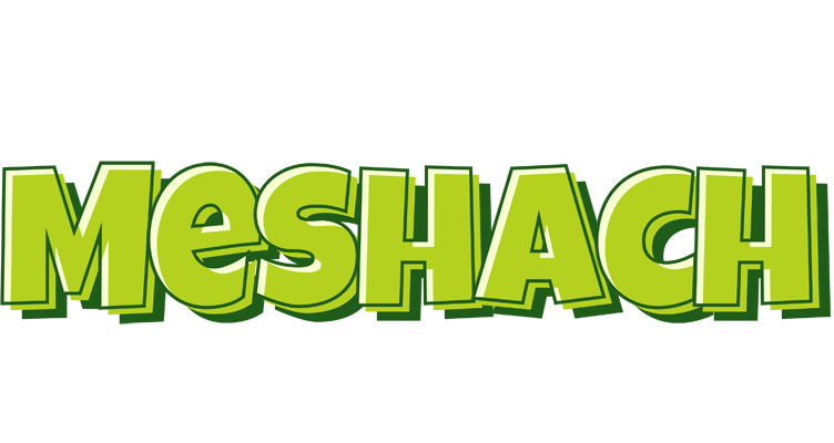 Meshach summer logo