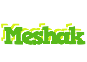 Meshak picnic logo