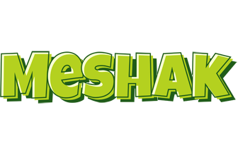 Meshak summer logo