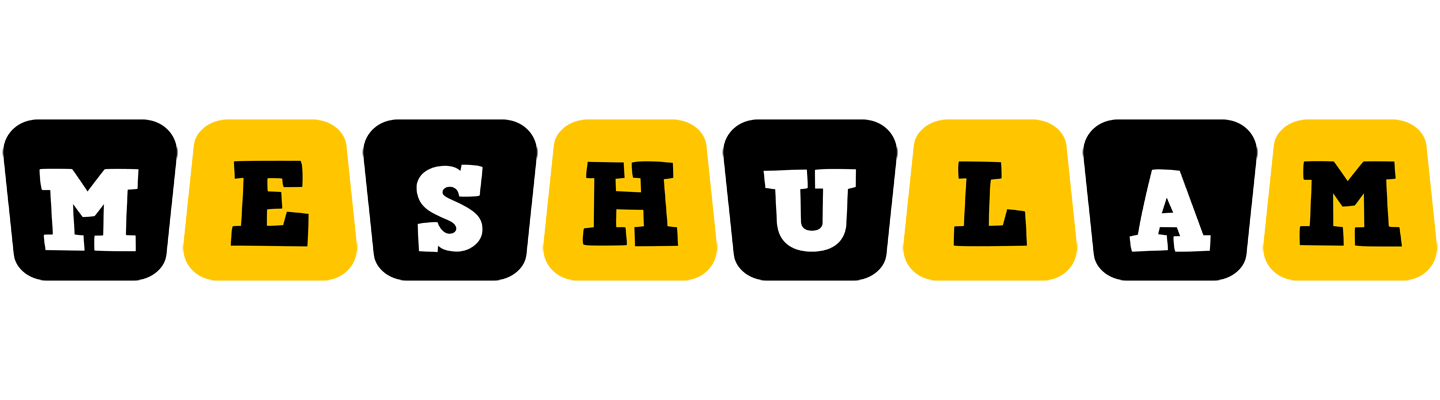 Meshulam boots logo