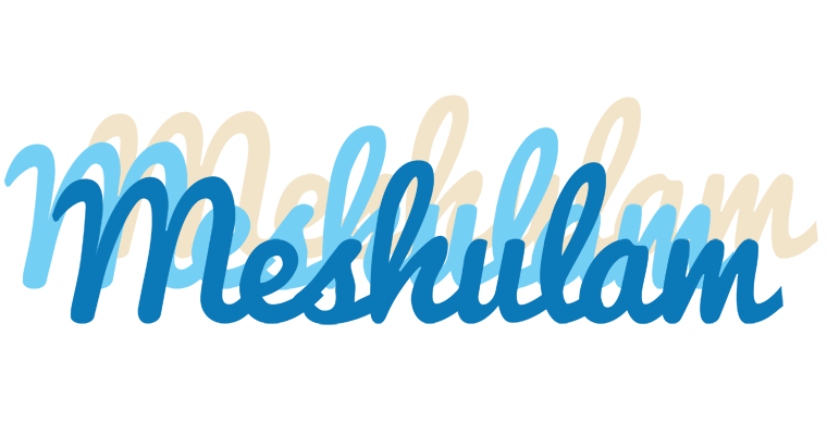 Meshulam breeze logo