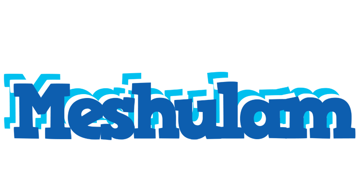 Meshulam business logo