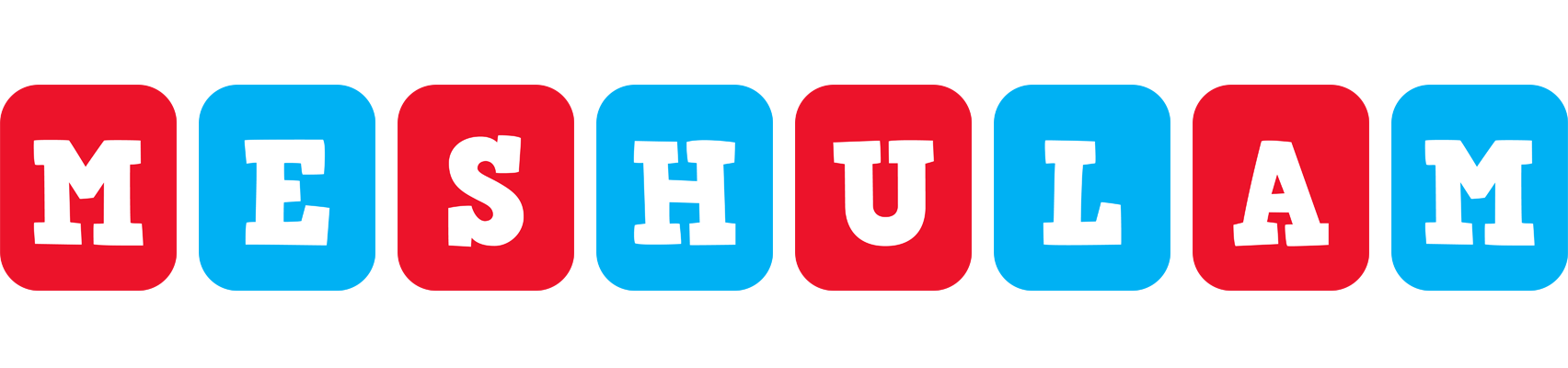 Meshulam diesel logo