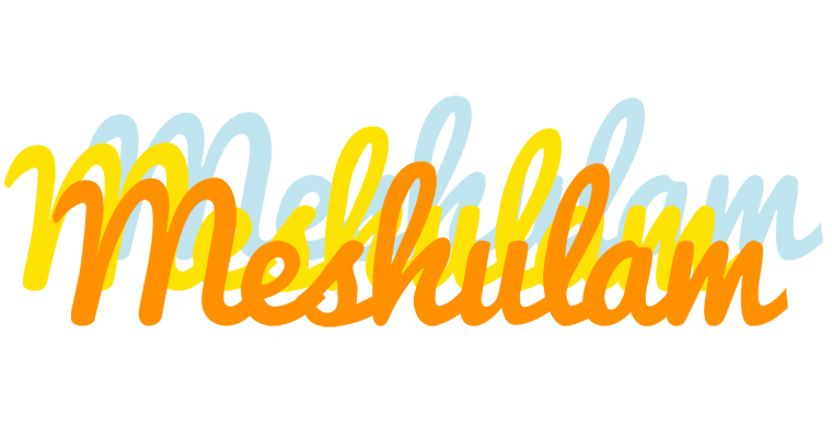 Meshulam energy logo